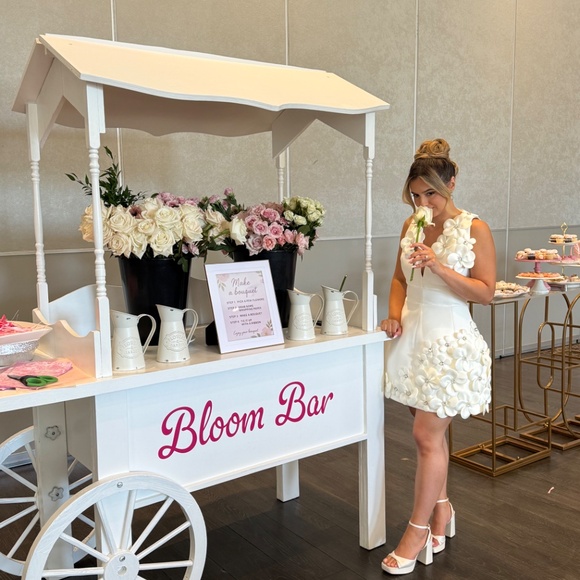 Bronx and Banco bridal dress - Picture 3 of 5